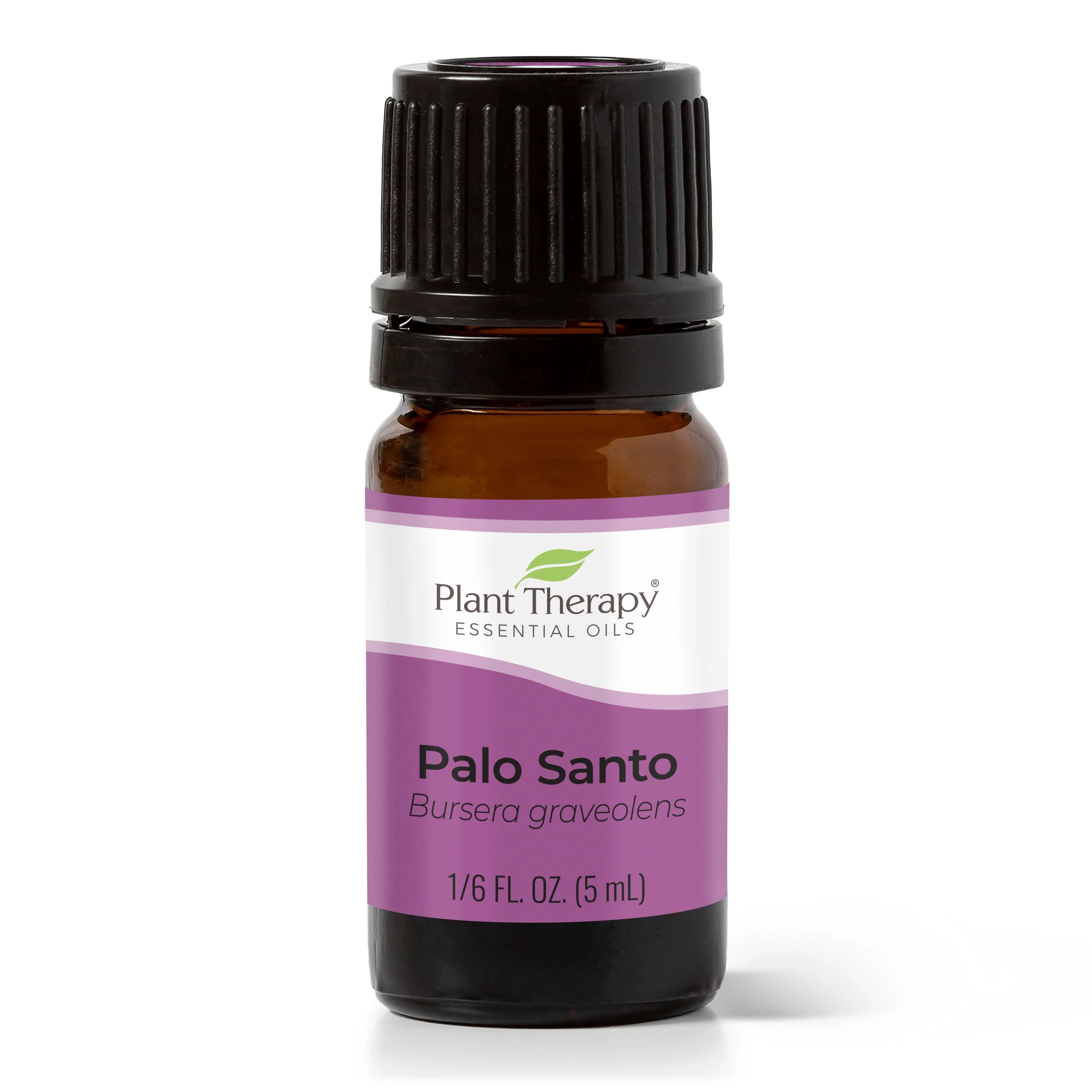 Palo Santo Essential Oil | Plant Therapy