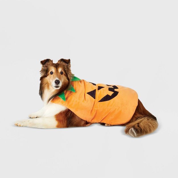 Pumpkin Full Body Dog and Cat Costume - Hyde & EEK! Boutique™ | Target