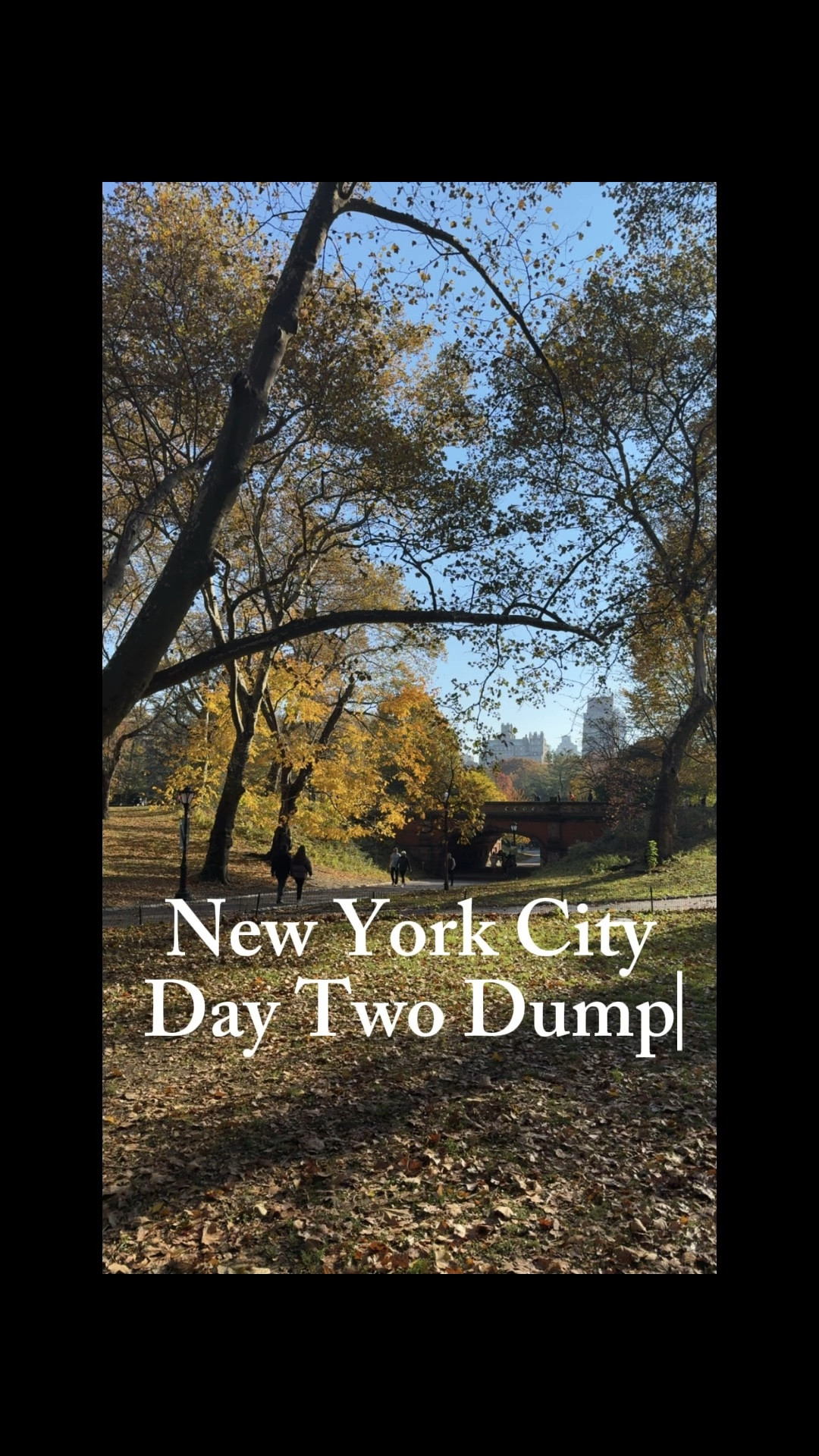 Finally posting the Day Two dump from NYC because I’m having serious FOMO!
If you’re taking advantage of the travel Tuesday pricing and booking a flight I’m here with all the recommendations! Send me a DM 🗽

#LTKstorytime #LTKTravel #LTKdayinmylife
