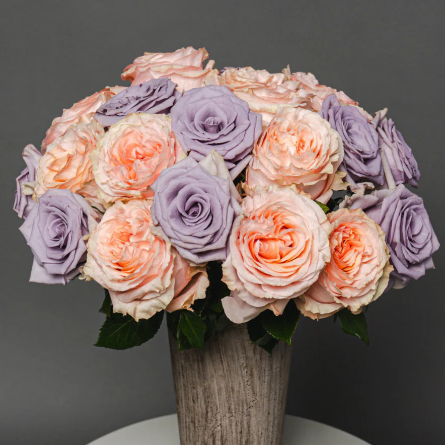 Chachachá Rose Bouquet – Peach & Lavender | Rosaholics | Rosaholics (US)