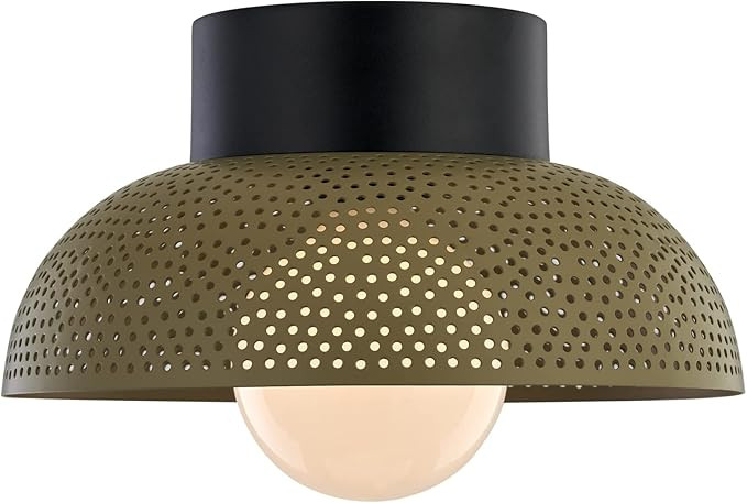 TeHenoo Contemporary Flush Mount Ceiling Light,Dome Metal Shade with Perforated Pattern,Green Cei... | Amazon (US)