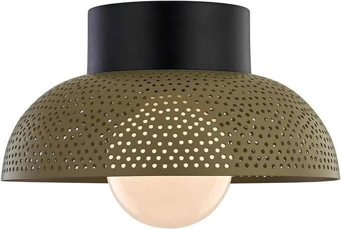 TeHenoo Contemporary Flush Mount Ceiling Light,Dome Metal Shade with Perforated Pattern,Green Cei... | Amazon (US)