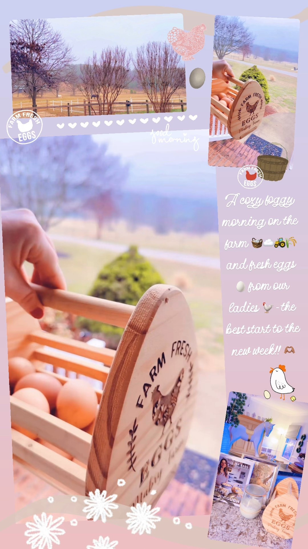 A cozy foggy morning on the farm 🧺☁️🚜🌾 and fresh eggs 🥚 from our ladies 🐓 - the best start to the new week!! 🫶🏽