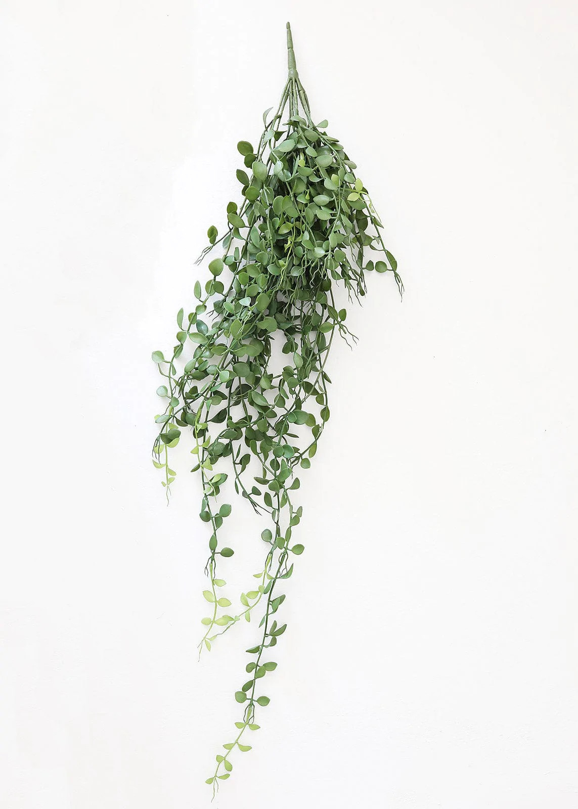 Artificial Plants | Hanging Fake House Plants at Afloral.com | Afloral