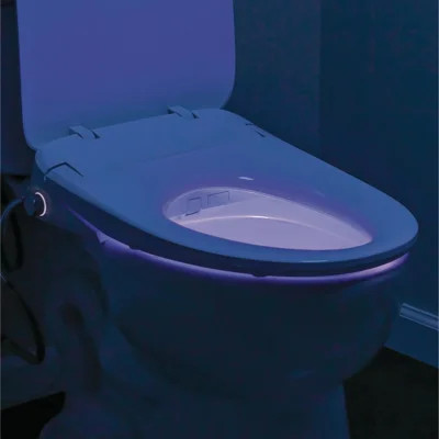 Ultimate Elongated Electric Bidet Toilet Seat | Wayfair Professional