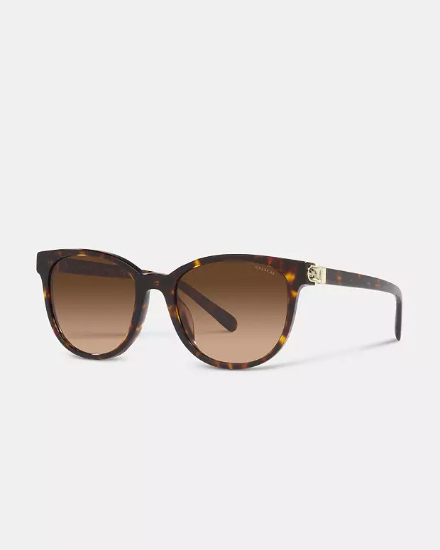 Horse And Carriage Round Sunglasses | Coach (US)