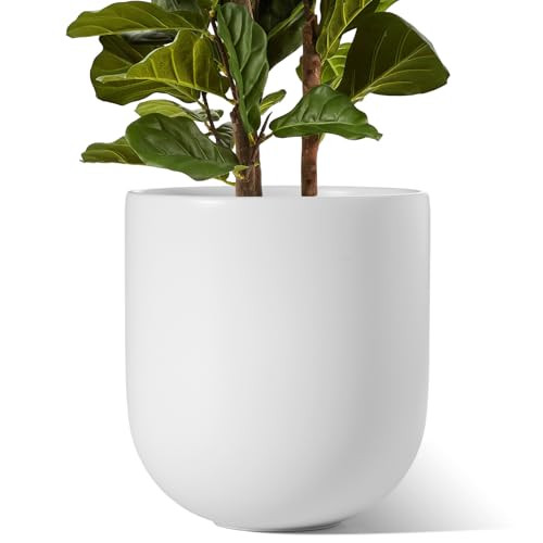 LE TAUCI 12 Inch Pots for Plants, Ceramic Large Planters for Indoor Plants, Indoor Plant Pots for Home Garden Patio Office, Planter Pots with Drainage Hole and Rubber Plug, White | Amazon (US)