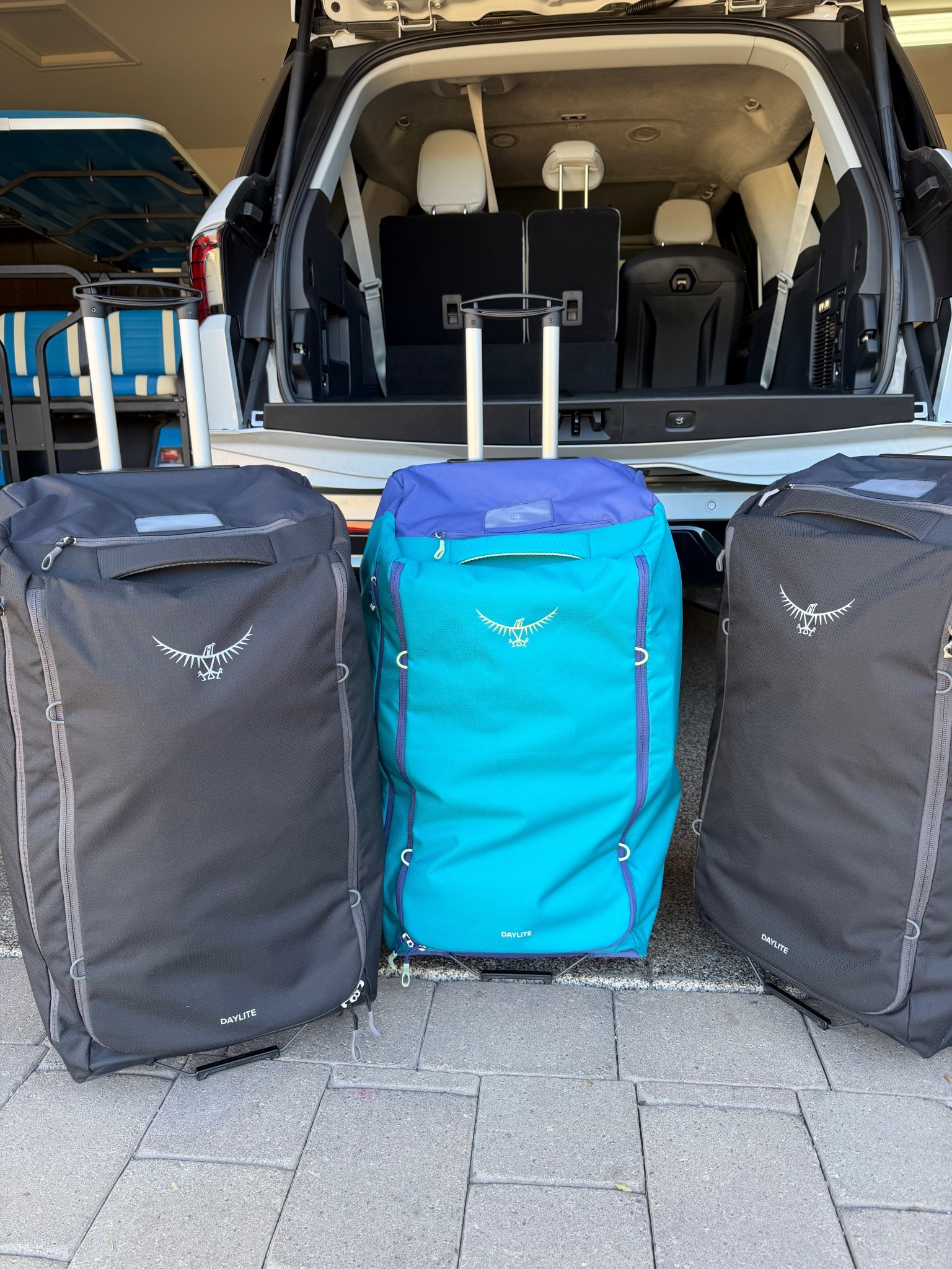 Amazing luggage for these ski trips recently! 
