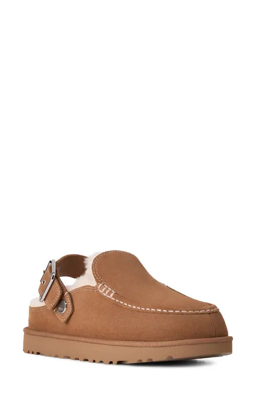 UGG(r) Goldenstar Evelina Clog in Chestnut at Nordstrom, Size 11 | Nordstrom