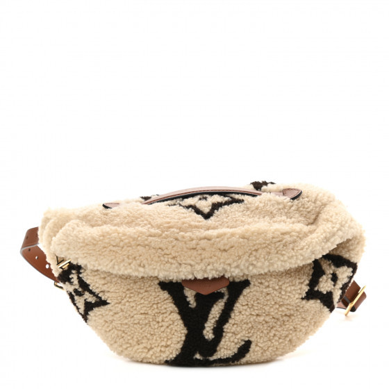 LOUIS VUITTON Monogram Teddy Bumbag | Fashionphile