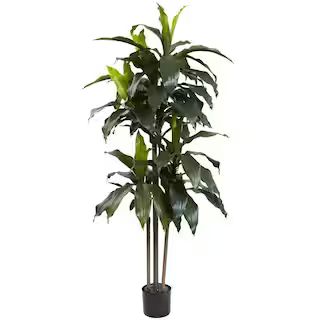 Nearly Natural 5 ft. Artificial Indoor/Outdoor UV Resistant Dracaena Plant 5446 - The Home Depot | The Home Depot