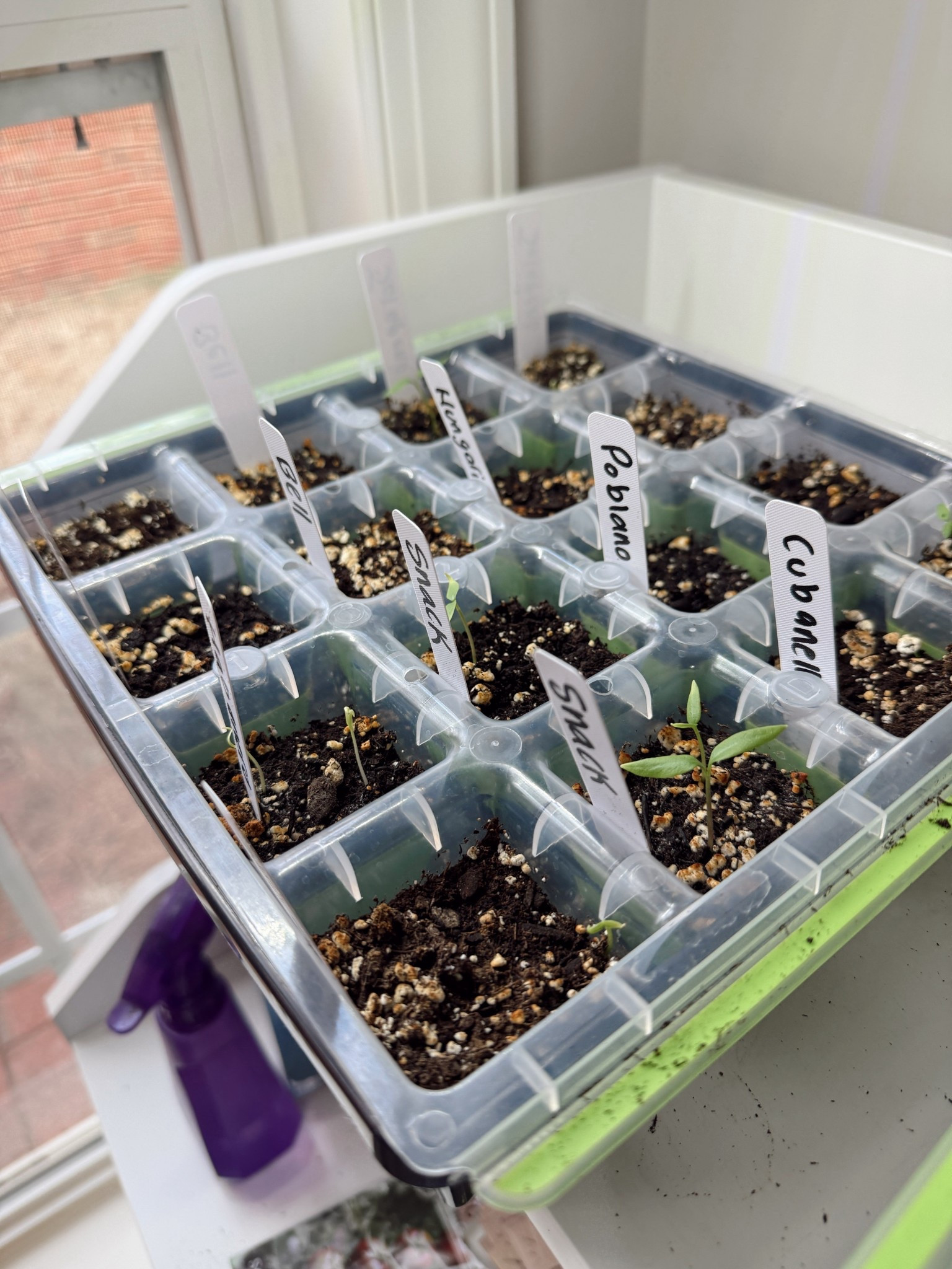 Reusable seed starter tray! Perfect for home gardening 👩🏻‍🌾 

#LTKSpringSale #LTKSeasonal #LTKHome