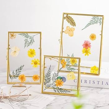 Jajamy Set of 3 Glass Pressed Flowers Frame Collection, 4"x4", 4"x6", 5"x7" Gold Metal Floating S... | Amazon (US)