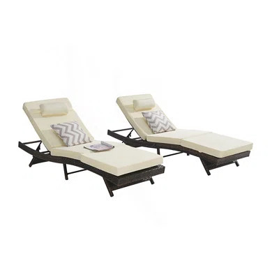 Outdoor Patio Lounge Chairs, Patio Chaise Lounges Chair, Pool Lounge Chairs | Wayfair North America