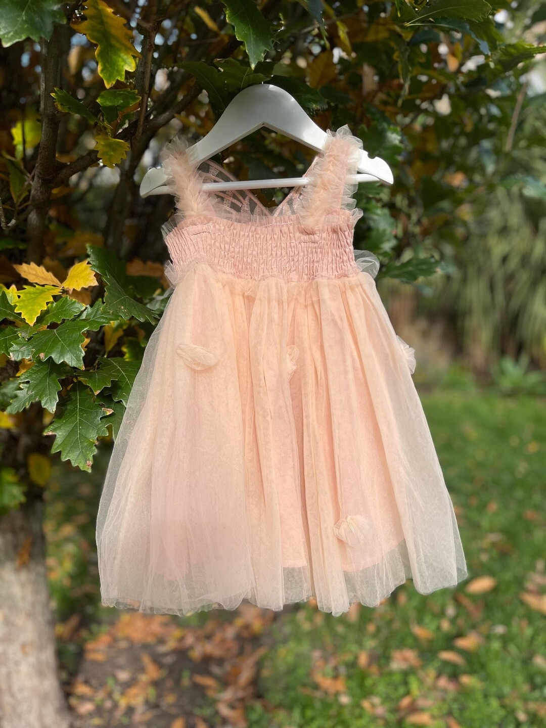 Fairy Wing, Champagne Pink Coloured Girls Dress. Cake Smash, Party Dress, Christening Dress, Flow... | Etsy (US)