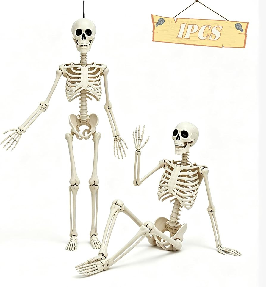 5.75ft Life Size Posable Halloween Skeleton, Movable Joints | Amazon (US)