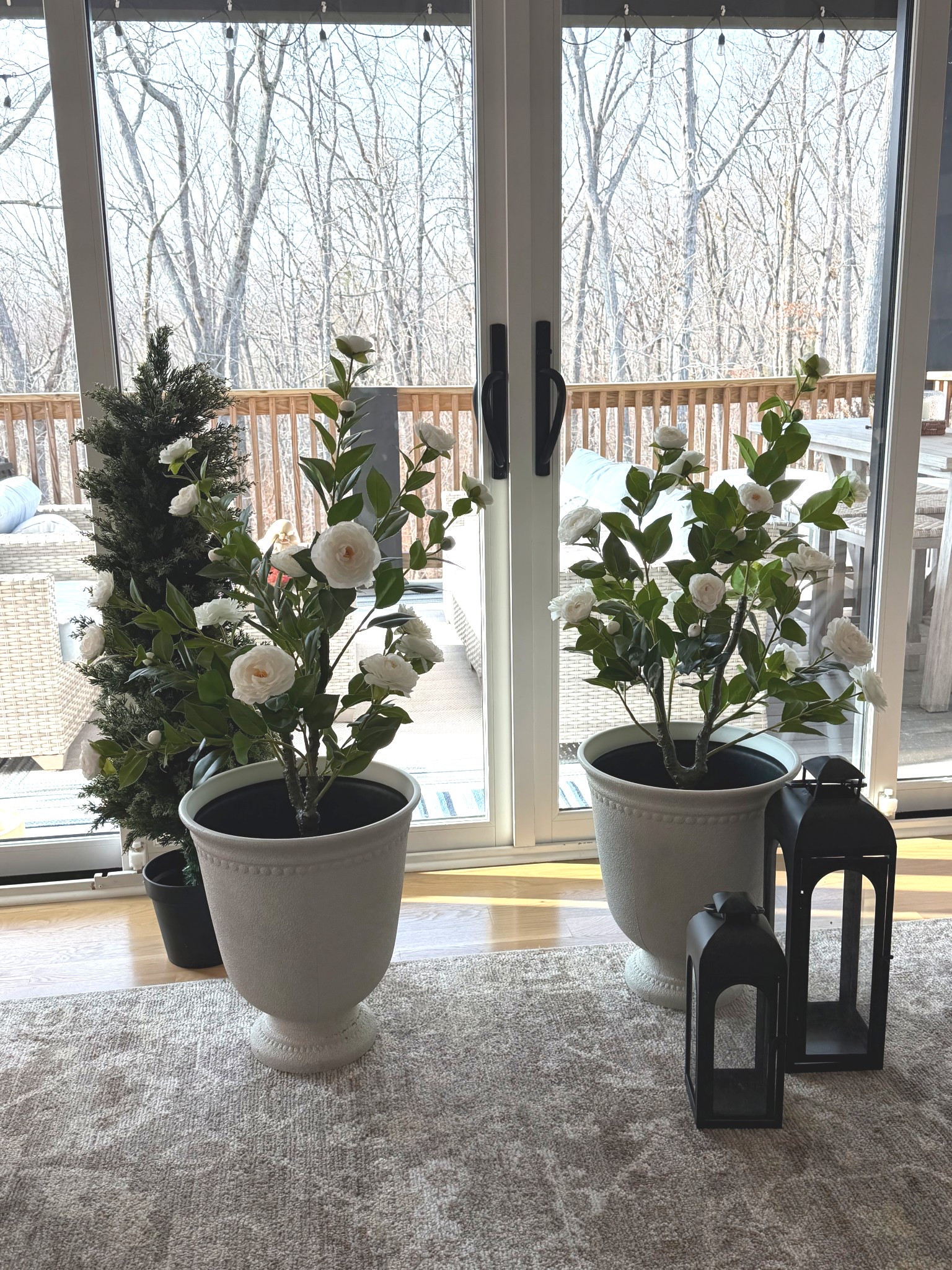 Viral Camellia Trees, 2 pk of 36 in trees perfect for Spring Porch Refresh! 

#LTKHome #LTKSpringSale