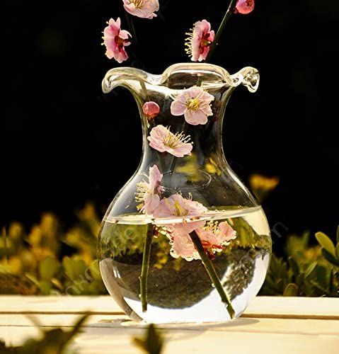 Delicate Decorative Clear Glass Scalloped Lipped Flower Vase for Home or Office | Amazon (US)