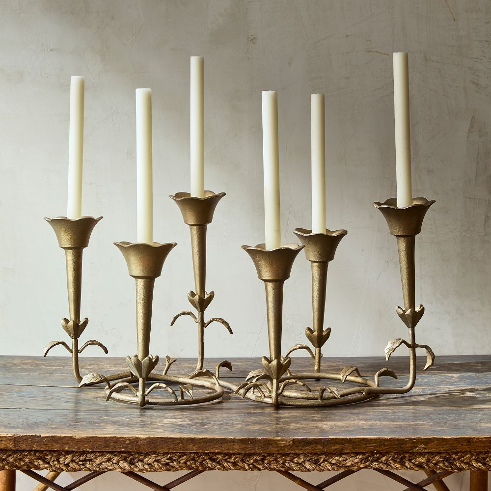 Morning Glory Multi Vase Candelabra | GreenRow