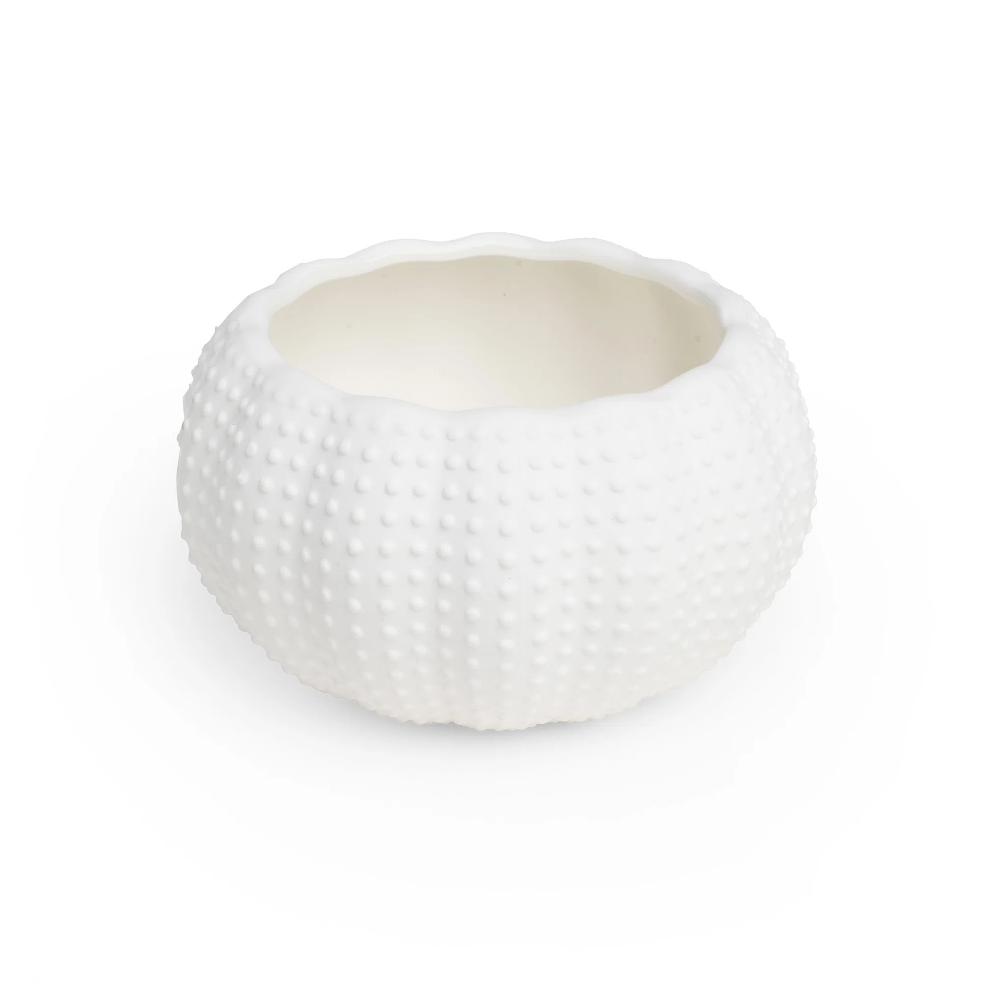 Orca Dish Porcelain Large (Set of 4) | Wayfair North America