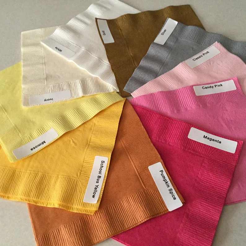 Dinosaur Embossed Napkins Childrens Party All Occasion Cocktail/beverage - Etsy | Etsy (US)