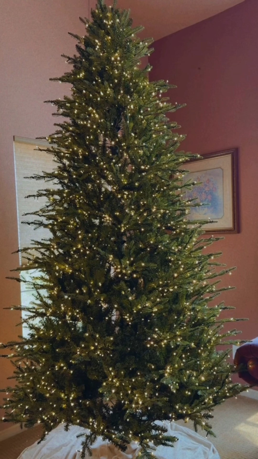 Make sure to measure your space to make sure this tree will fit! It’s 62 inches wide and very full. It’s not really a corner tree. It has to sparkle and shine and stand out on its own. ✨

#LTKvlog #LTKHome #LTKSeasonal