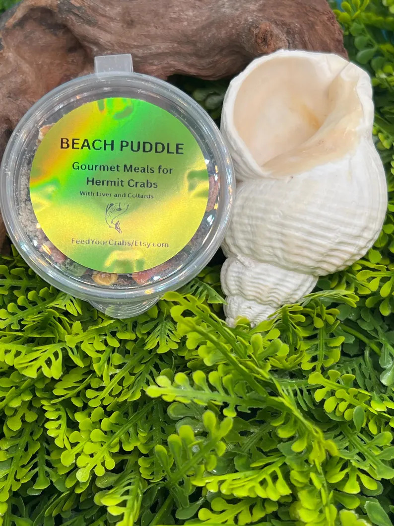 Complete Balanced Meal for hermit crabs,  Beach Puddle with Coconut and Green beans. | Etsy (Global)