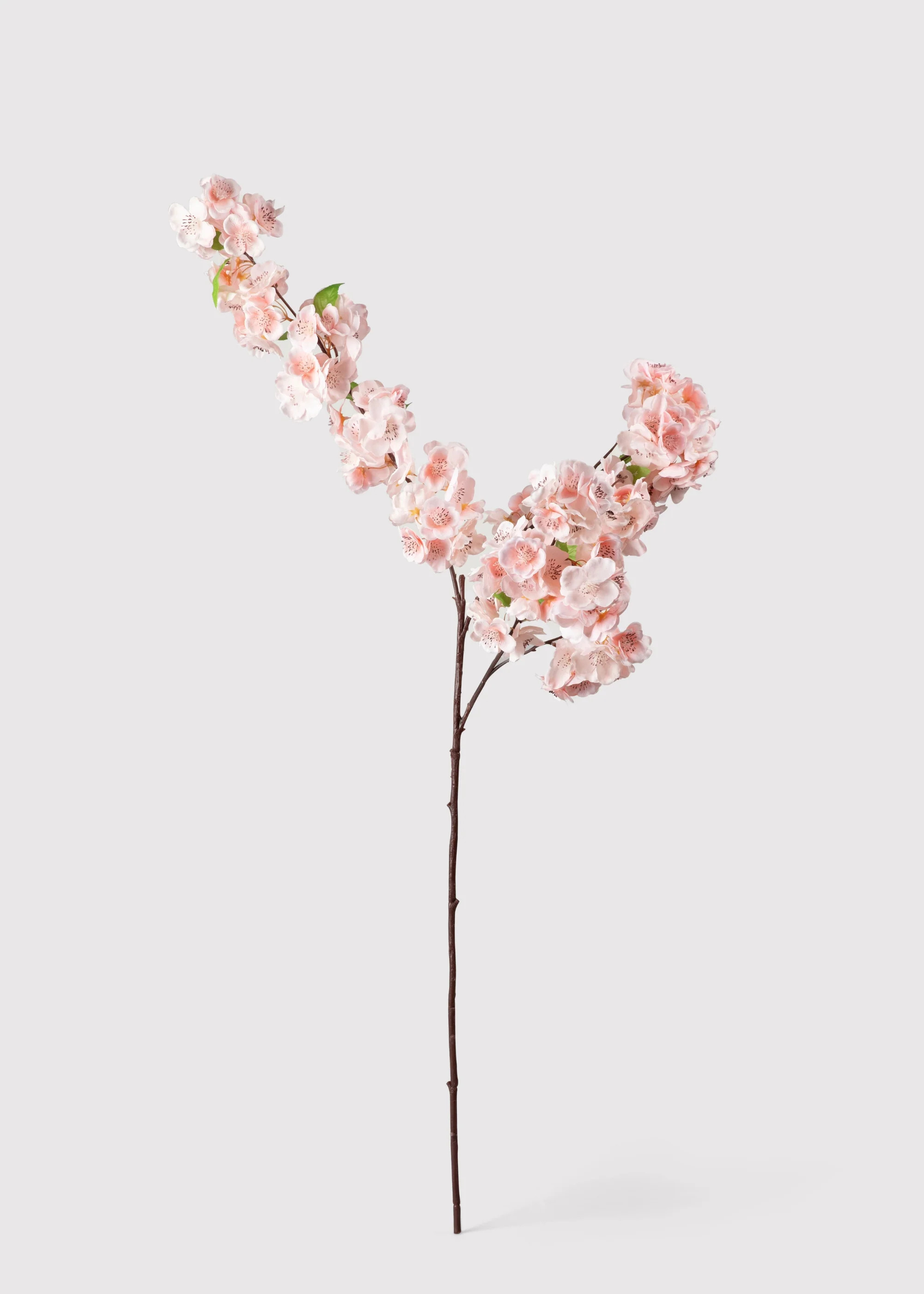 Pink Cherry Blossom Branch | Artificial Spring Flowers at Afloral | Afloral