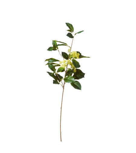 Faux Snowball Viburnum Branch - Green | OKA US | OKA US
