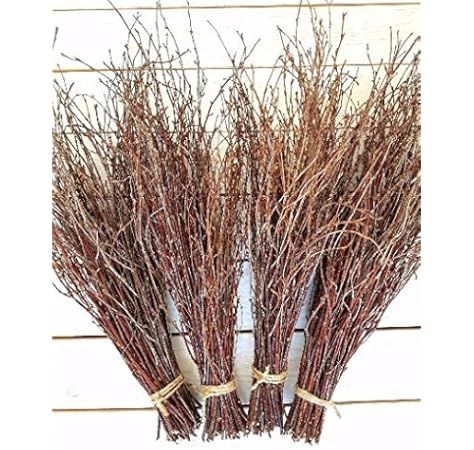 200 pcs. Birch Branches, Natural Birch Twigs, Birch Branches centerpieces, Decorative Birch, Birc... | Amazon (US)