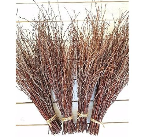 200 pcs. Birch Branches, Natural Birch Twigs, Birch Branches centerpieces, Decorative Birch, Birc... | Amazon (US)