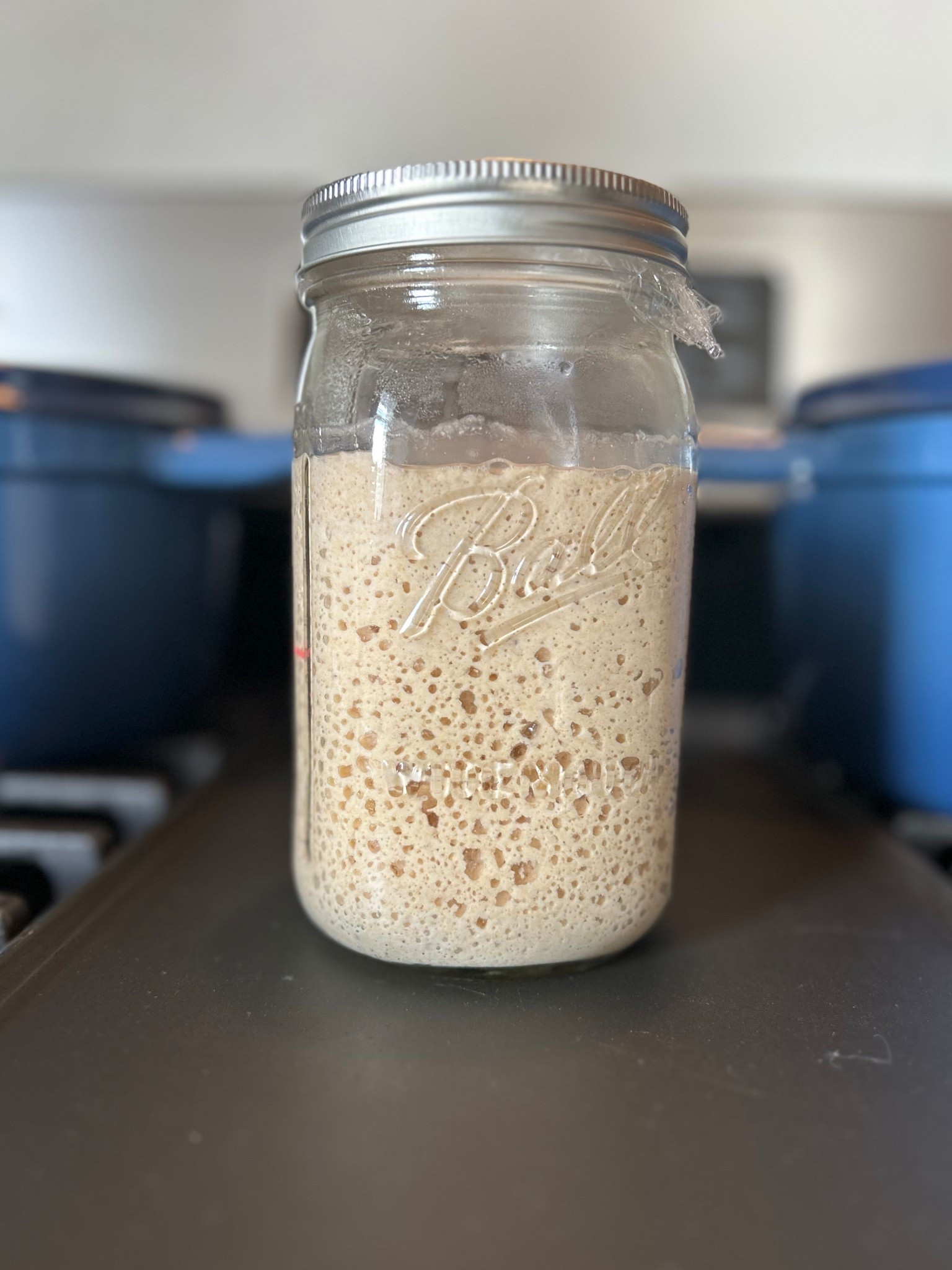 What I use for making sourdough and bread in general! 

#LTKFamily #LTKHome #LTKSeasonal