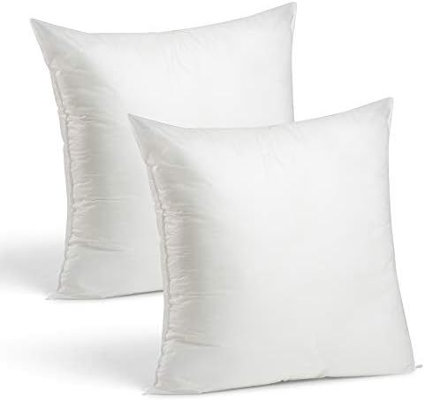 Foamily Throw Pillows Set of 2-2 - 24 x 24 Premium Hypoallergenic Pillow Inserts for Couch or Bed... | Amazon (US)