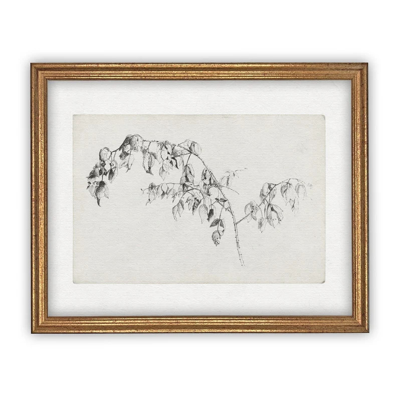 Vintage Framed Canvas Art  // Framed Vintage Print // Vintage Painting // Botanical Sketch // Far... | Etsy (US)