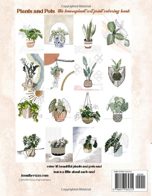 Plants and Pots Coloring Book | Amazon (US)