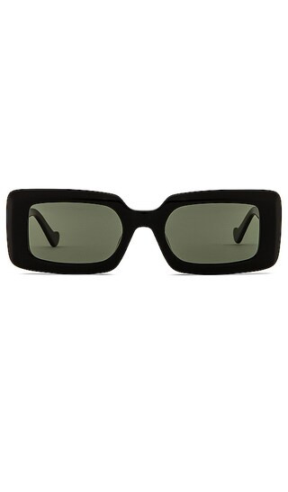 Havana Sunglasses in Black | Revolve Clothing (Global)