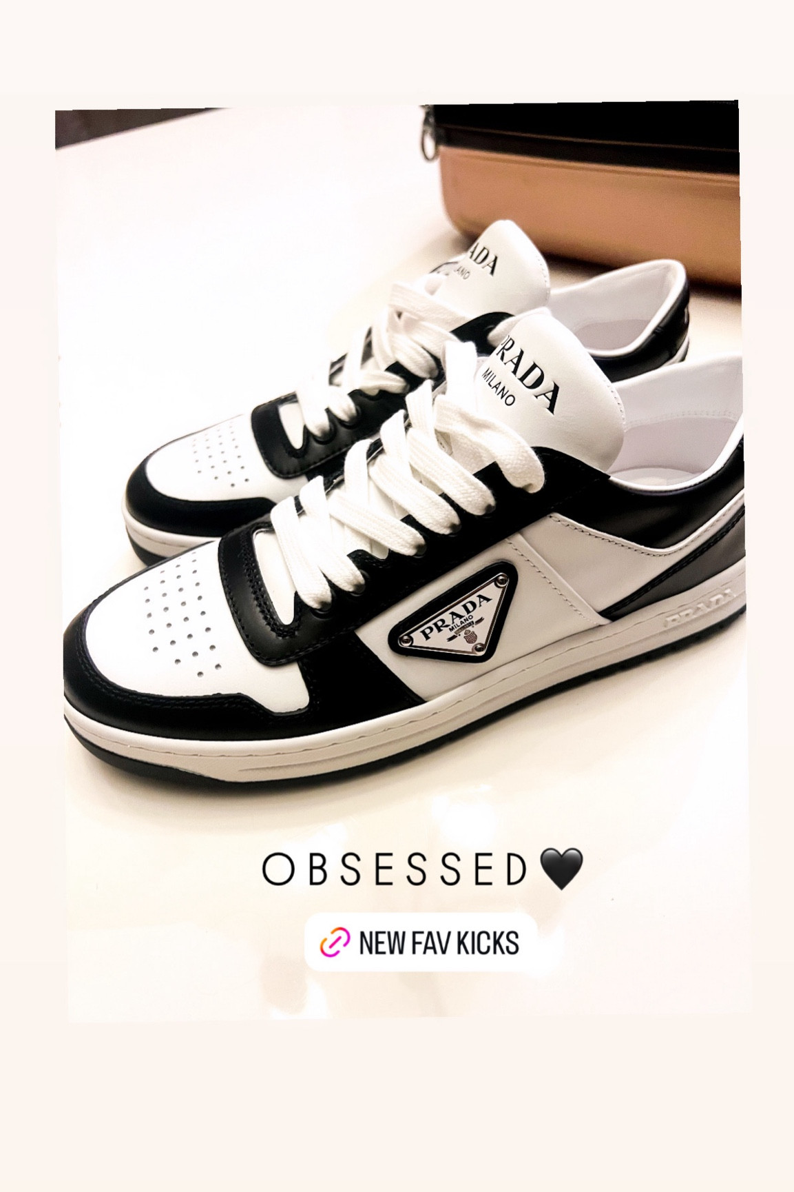 Pandas but make them Prada 🖤🤍



#LTKShoeCrush