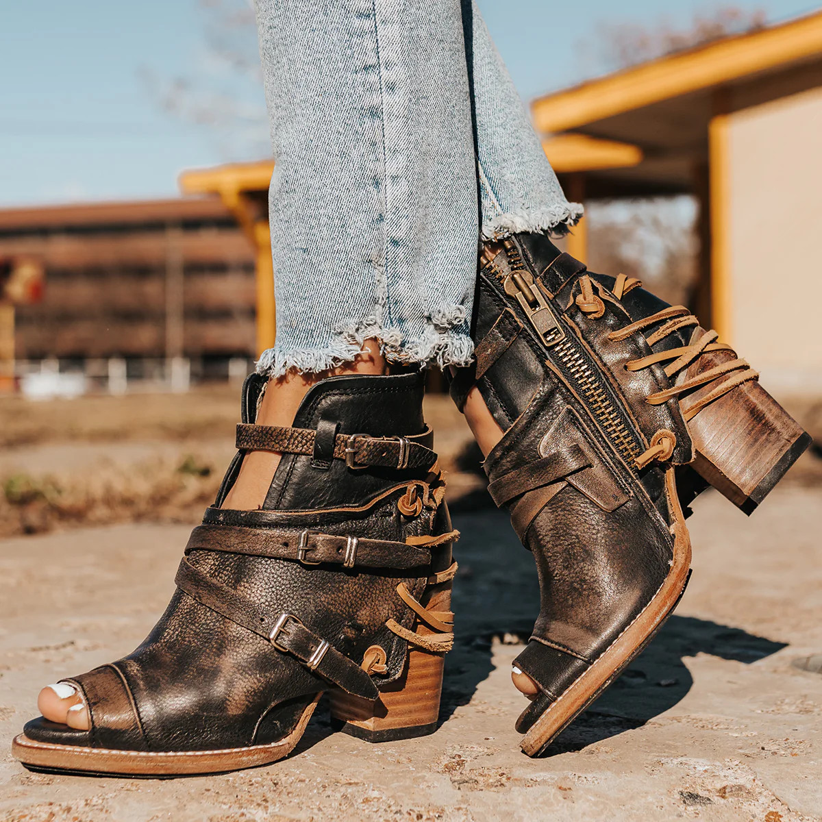 FREEBIRD STORES - CARTERR | Freebird Stores