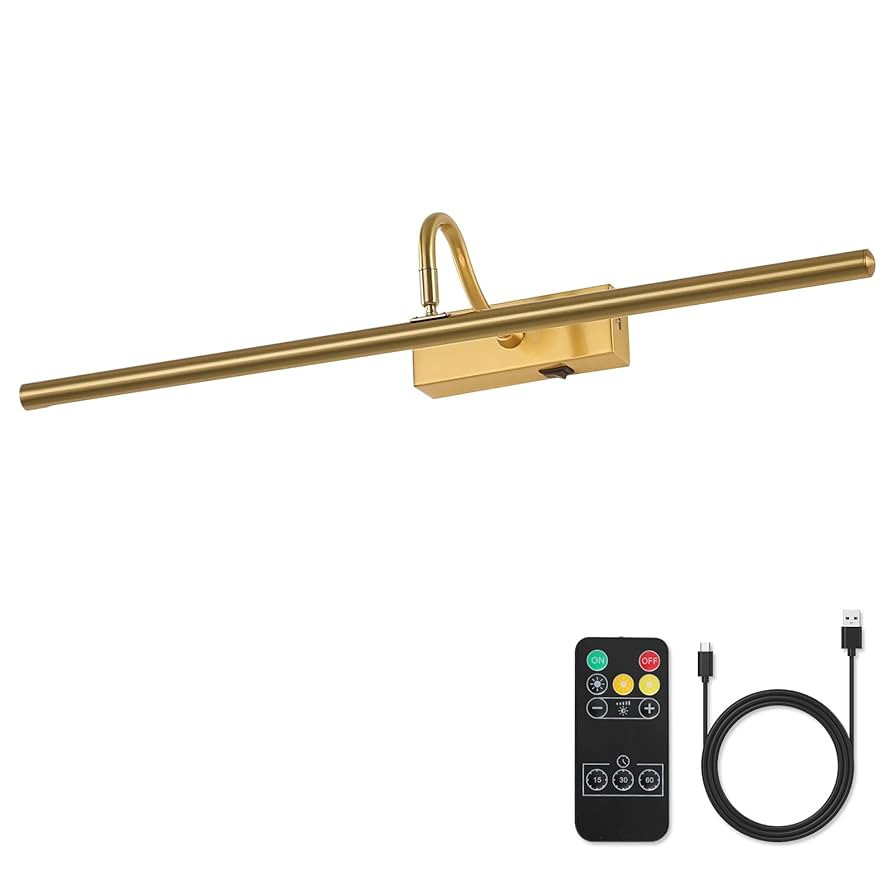 Picture Light,10000mAh Picture Lights for Wall with Remote,23.6 inch Art Light for Paintings, Gal... | Amazon (US)