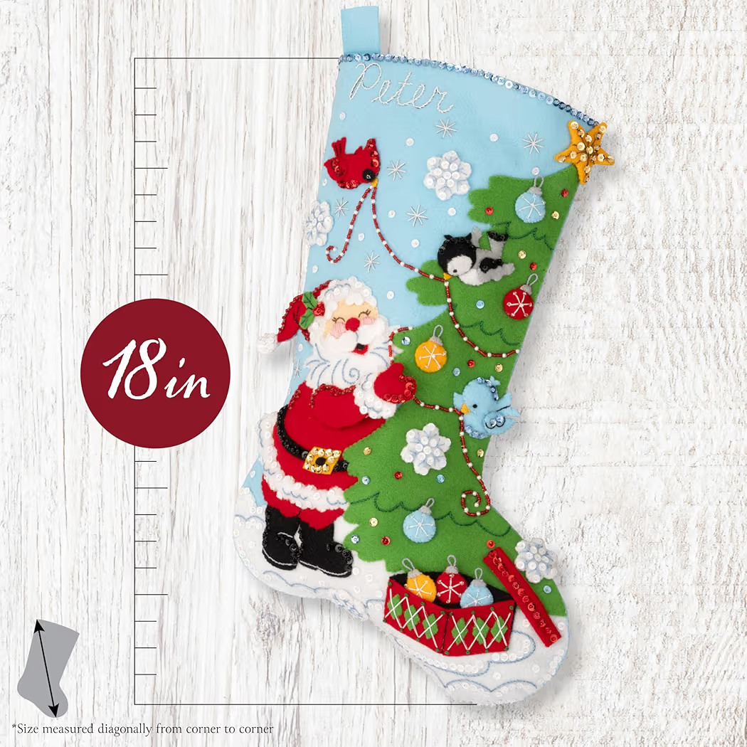 Bucilla Felt Applique 18" Stocking Making Kit, Trimming with Tweets, Perfect for DIY Arts and Cra... | Amazon (US)