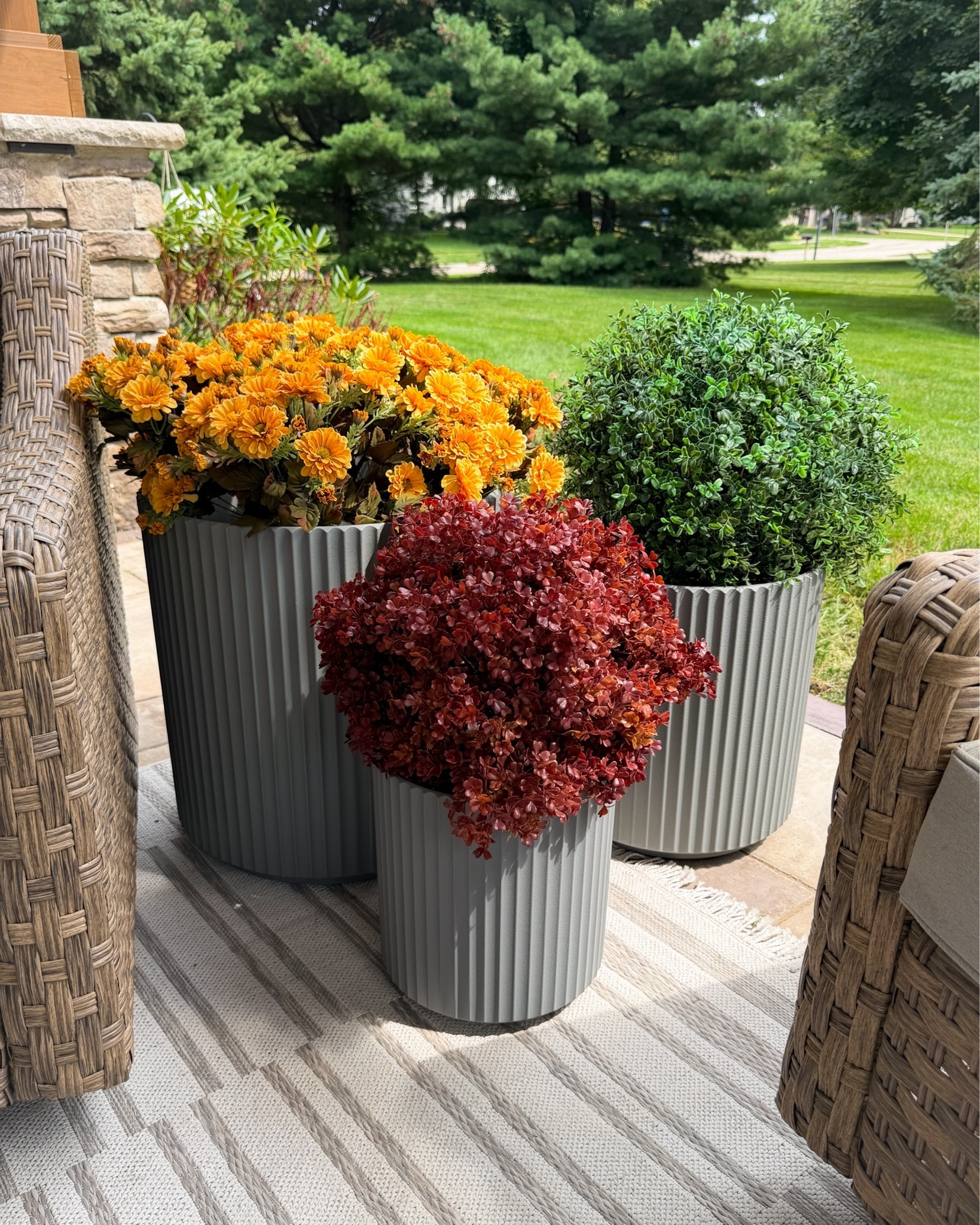 Outdoor fall things. But make it so I can’t 💀 them.

#LTKHome #LTKSeasonal #LTKmomlife