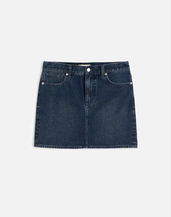 Denim Mini Skirt in Hodgeman Wash | Madewell