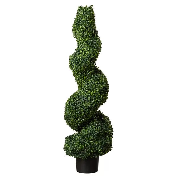 Boxwood Topiary in Pot | Wayfair North America