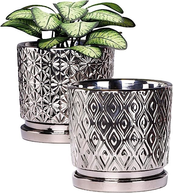 Ton Sin Silver Plant Pots,5.5 Inch Succulent Pots with Drainage Hole,Texture Indoor Ceramic Flowe... | Amazon (US)