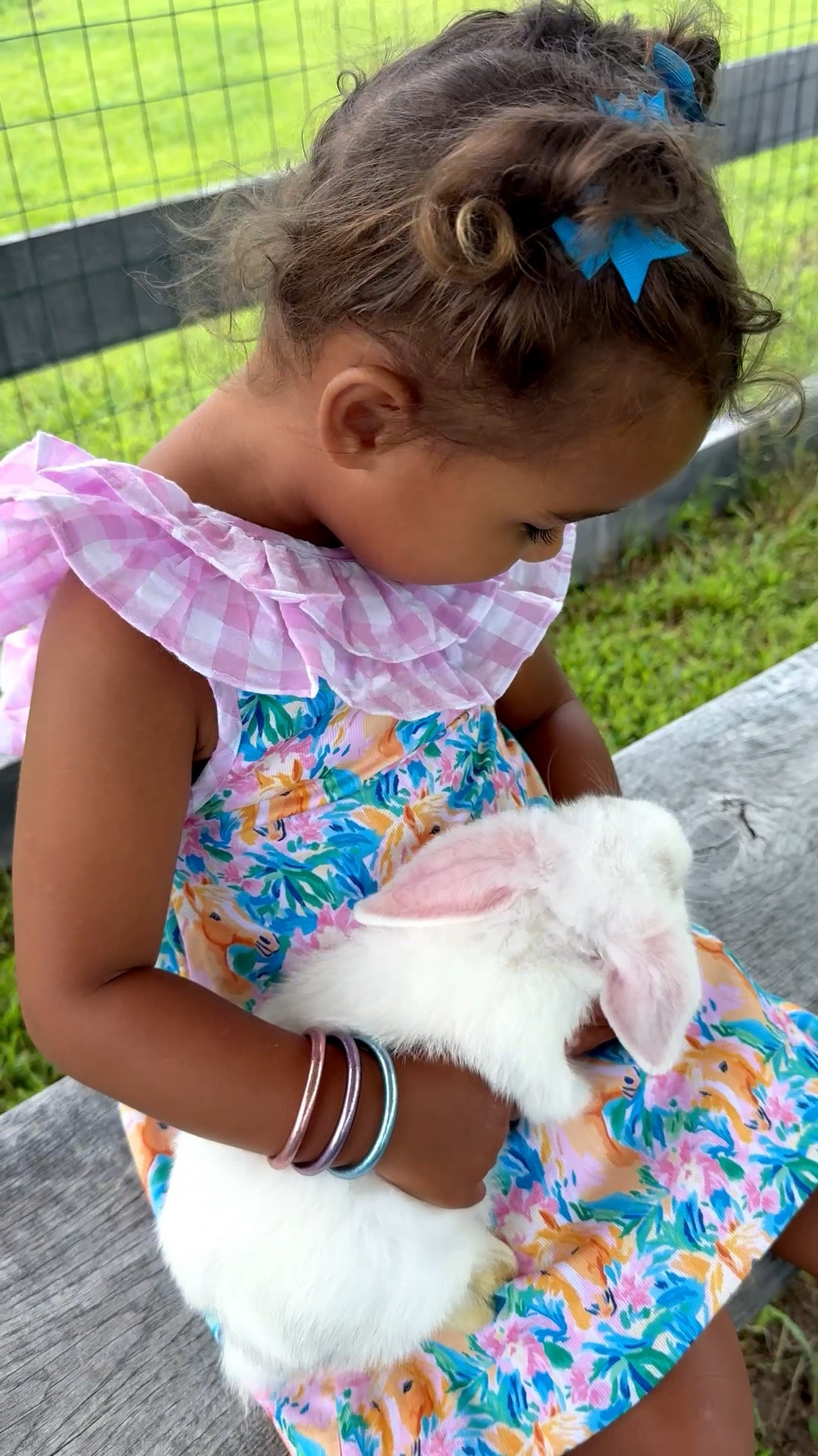 Easter photo dresses! I signed my daughter up to take photos with real bunnies! She is going to be so excited!!! When is comes to little girl dresses you’ll see spring trends of ruffles, pastels, gingham and smocked styles! 

#LTKspring #LTKspringtrends #LTKKids