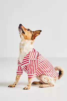 Found My Animal x Anthropologie Striped Pet Pajamas | Anthropologie (US)