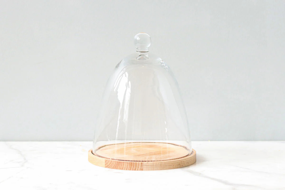 Glass Dome with Wood Base, Tall | etúHOME