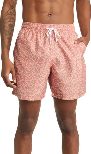 Trunks Surf & Swim Co. Sano Swim Trunks | Nordstrom | Nordstrom