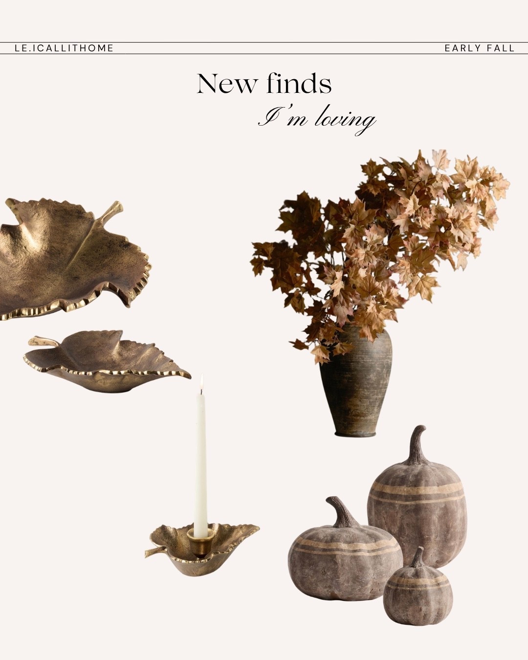 New early Fall decor I’m loving 🤎🍂

#LTKHome #LTKSeasonal