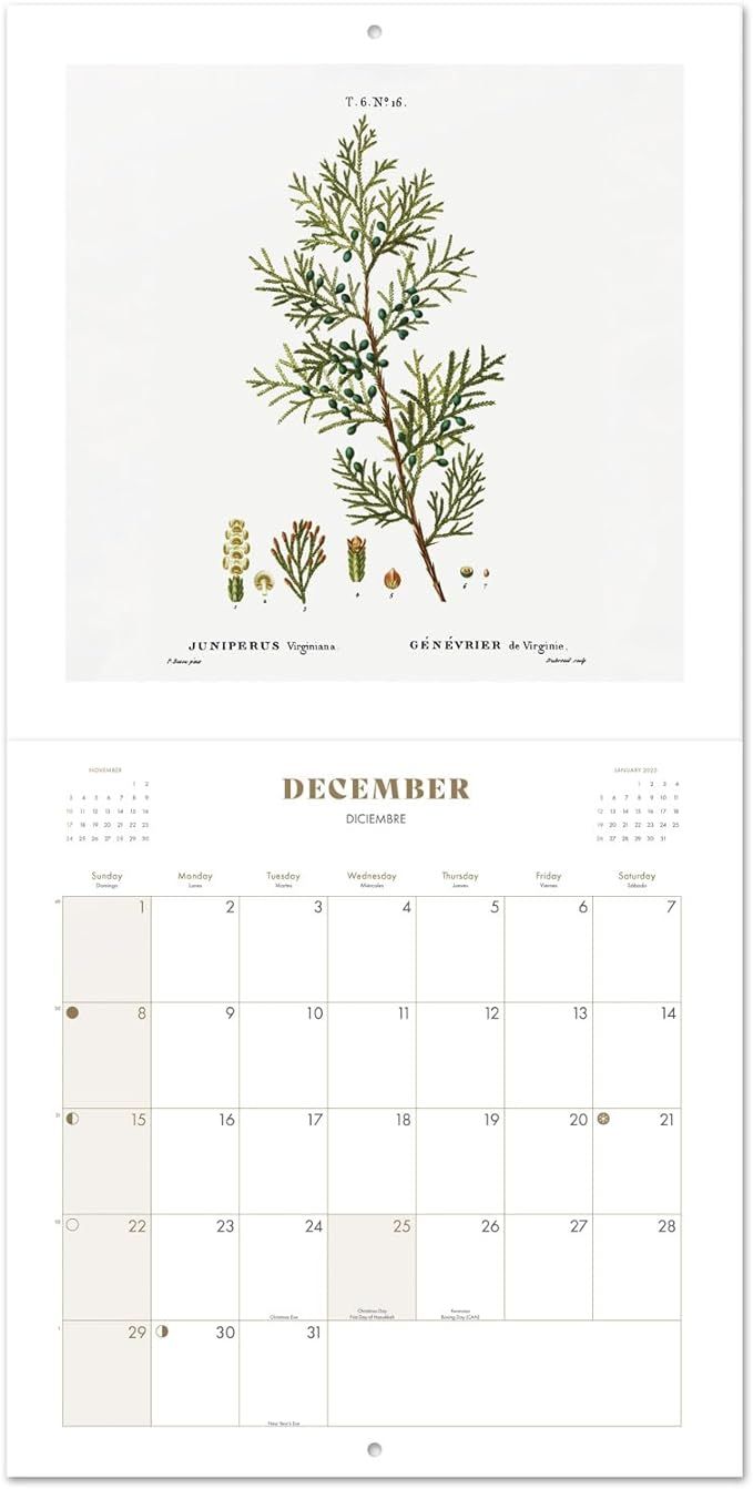 Botanical Wall Calendar 2024 12" x 12" FSC® Plastic Free - Starts Week On Sunday | Square Wall C... | Amazon (US)